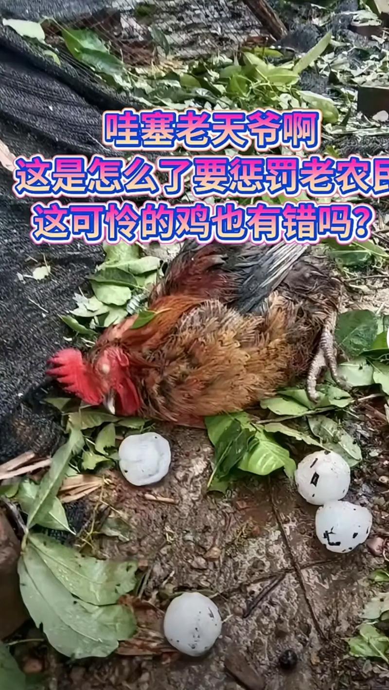 产品中心 第24页