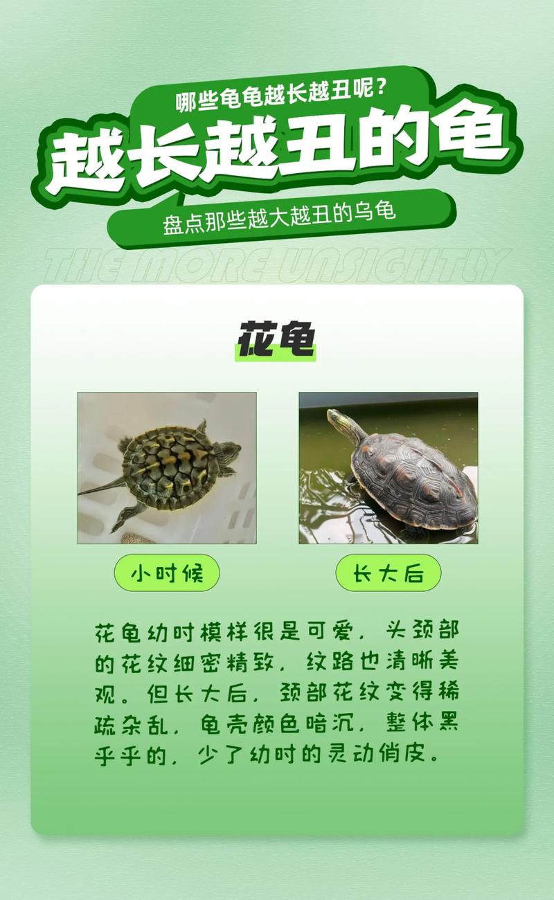 客户服务 第6页
