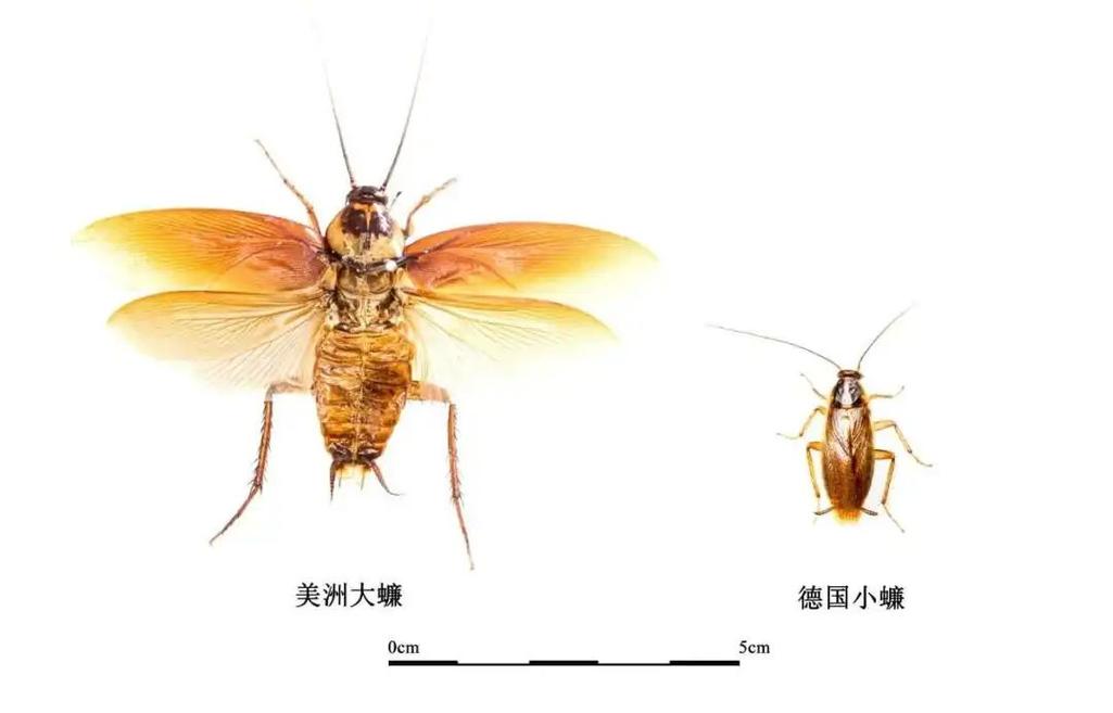 客户服务 第2页