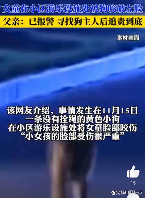 狗闯村民家咬伤女童,村里的狗咬人,应该找谁解决